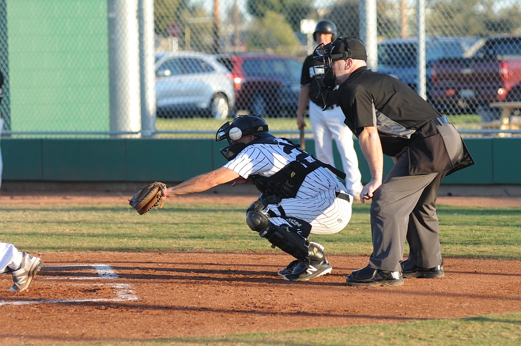 Seals_2019-09-19 (269).JPG - (c)2010 DeVetter